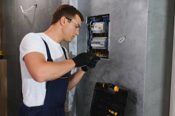 Best Industrial Electrical Services  in Chebanse, IL